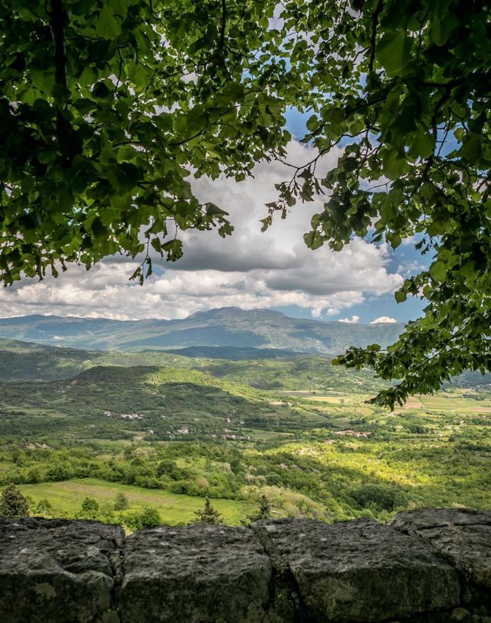 Apartman Sirena Pićan Zewnętrze zdjęcie